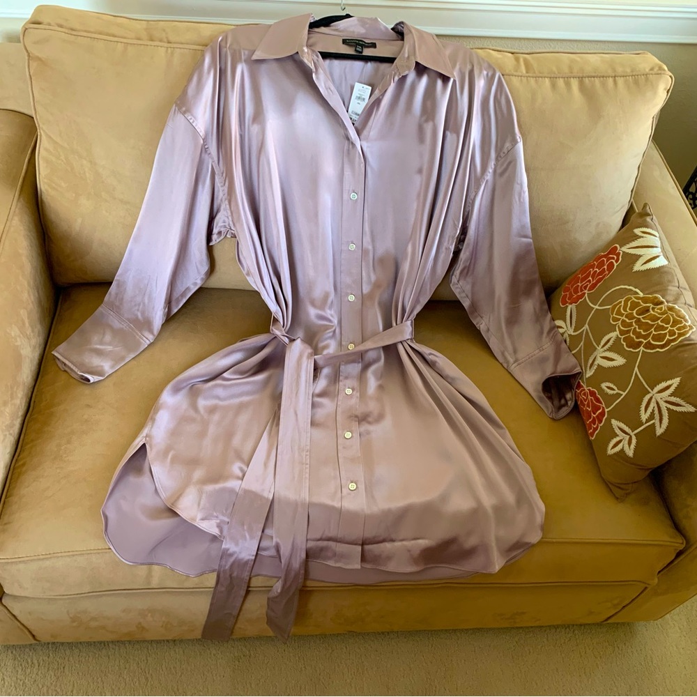 Banana Republic Mauve Satin Long Sleeve Dress